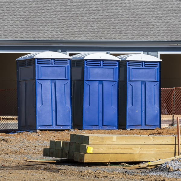 what is the maximum capacity for a single portable toilet in Chemung NY